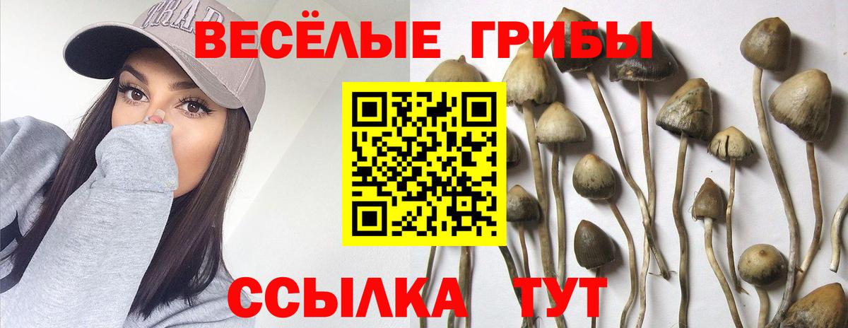 Галлюциногенные грибы ЛСД  Галлюциногенные грибы ЛСД  Вход с VPN  Узловая 